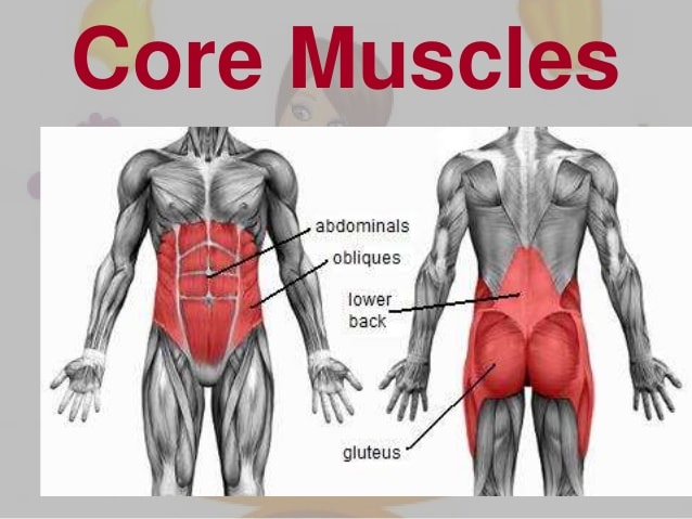 What is the core