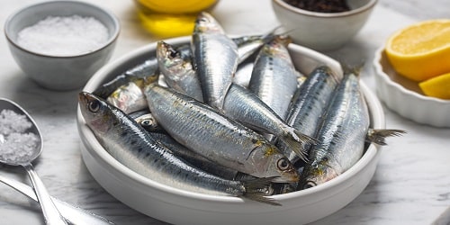 Are Canned Fish Healthy