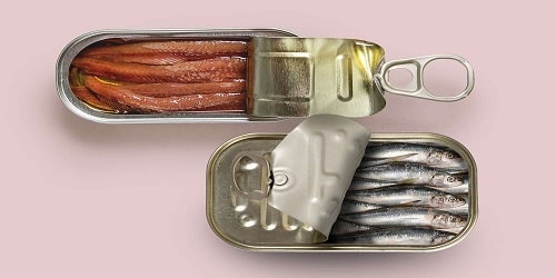 Difference Between Anchovy And Boquerón