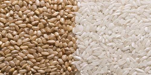 Difference Between White Rice And Brown Rice