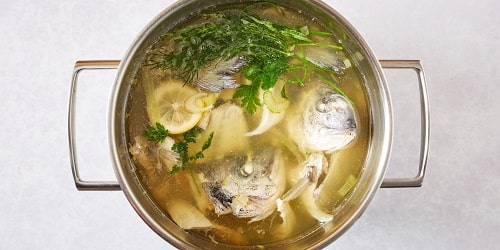 Differences Between Fish Broth And Fumet