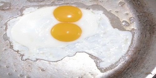 Eggs Have Two Yolks