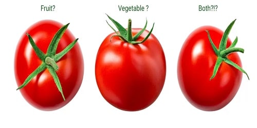 Is A Tomato A Fruit Or A Vegetable