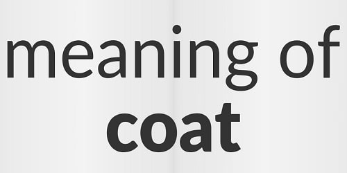 Coat