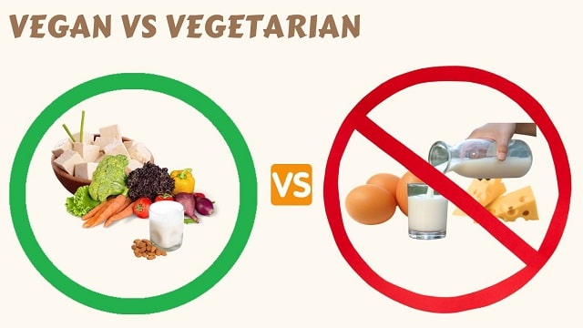 Difference Between Vegan And Vegetarian?