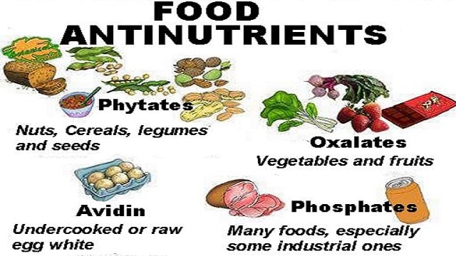 What Are Antinutrients