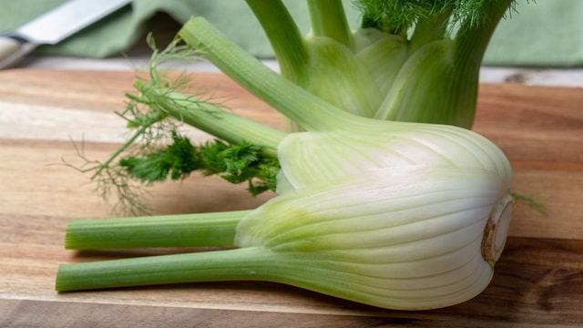 Fennel