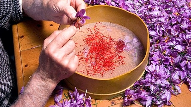 Saffron from Iran