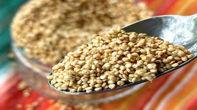 quinoa